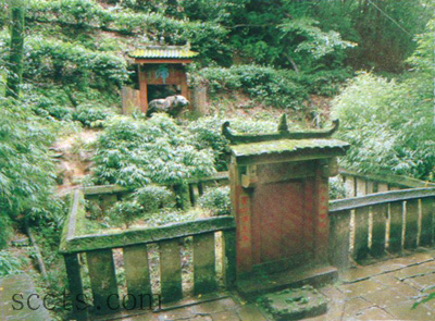 蒙顶山皇茶园