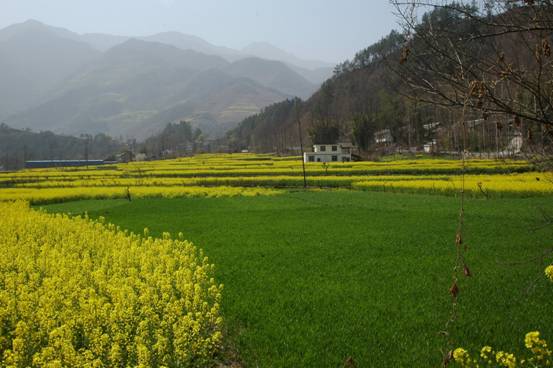 九寨沟沿途风景