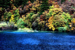 火花海