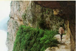 TlaVk